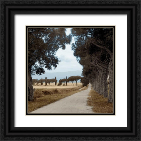 Tuscan Fatorria Strada No. 2 Black Ornate Wood Framed Art Print with Double Matting by Blaustein, Alan