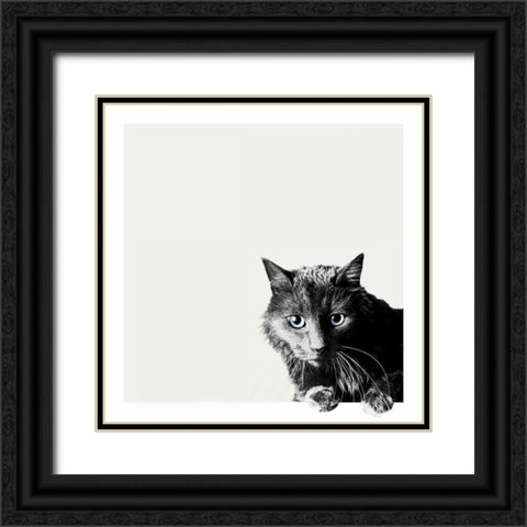 Inquisitive Black Ornate Wood Framed Art Print with Double Matting by Bertelli, Jon