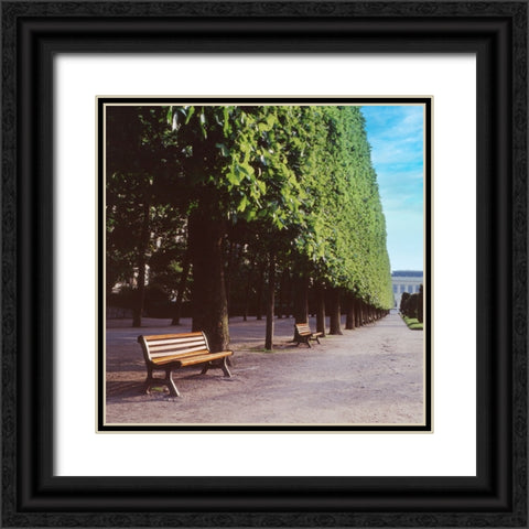 French Jardin No. 9 Black Ornate Wood Framed Art Print with Double Matting by Blaustein, Alan