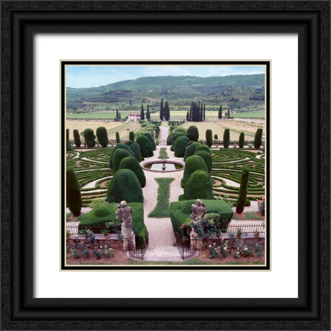 Italia Gardens No. 12 Black Ornate Wood Framed Art Print with Double Matting by Blaustein, Alan