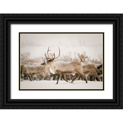 Firth Black Ornate Wood Framed Art Print with Double Matting by Broadway, Krista
