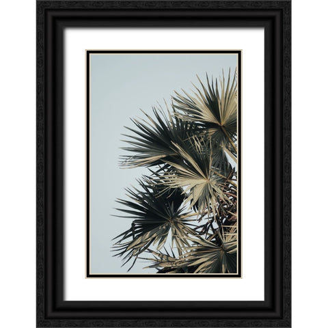 Buxton Black Ornate Wood Framed Art Print with Double Matting by Broadway, Krista