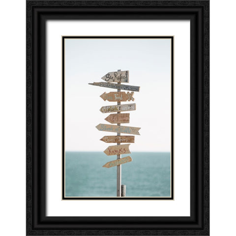 Corolla Black Ornate Wood Framed Art Print with Double Matting by Broadway, Krista