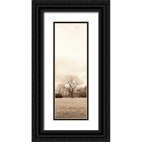 Chestnut Tree Black Ornate Wood Framed Art Print with Double Matting by Blaustein, Alan