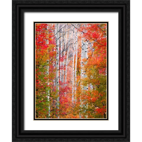 Autumn Passage Black Ornate Wood Framed Art Print with Double Matting by Carmel, Elizabeth