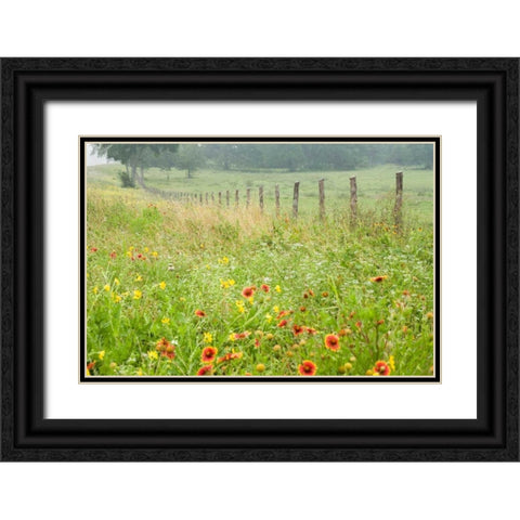 Flowers and Fence Black Ornate Wood Framed Art Print with Double Matting by Connolly, Karin
