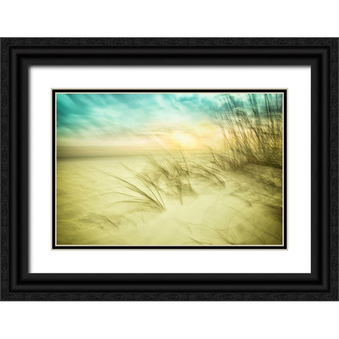 Delightful No. 1 Black Ornate Wood Framed Art Print with Double Matting by Connolly, Karin
