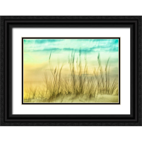 Delightful No. 2 Black Ornate Wood Framed Art Print with Double Matting by Connolly, Karin