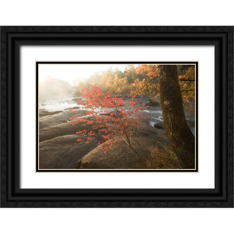 Little Red Black Ornate Wood Framed Art Print with Double Matting by Connolly, Karin