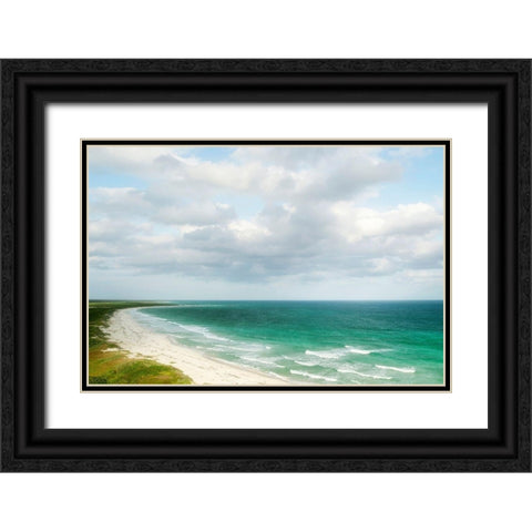 Coastal Blue Black Ornate Wood Framed Art Print with Double Matting by Colligan, Lynann