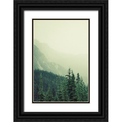Rocky Mountain 7 Black Ornate Wood Framed Art Print with Double Matting by Colligan, Lynann