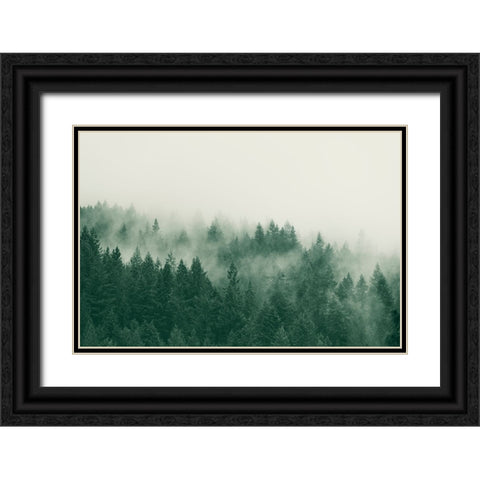 Emerald Forest No. 1 Black Ornate Wood Framed Art Print with Double Matting by Colligan, Lynann