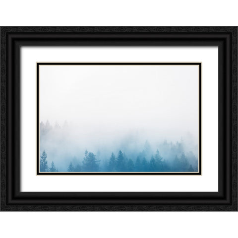 Enchanted Forest No. 2 Black Ornate Wood Framed Art Print with Double Matting by Colligan, Lynann