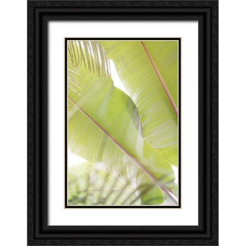 Palm Leaves No. 2 Black Ornate Wood Framed Art Print with Double Matting by Colligan, Lynann
