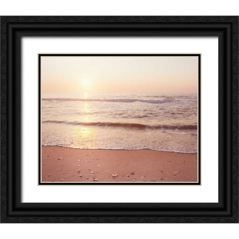 A New Beginning Black Ornate Wood Framed Art Print with Double Matting by Cochrane, Carolyn