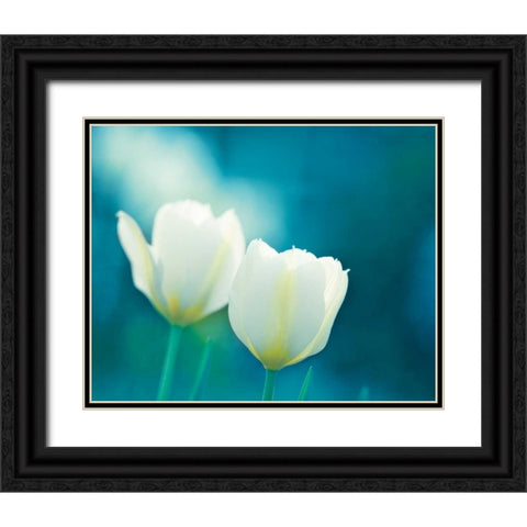 Charisma Black Ornate Wood Framed Art Print with Double Matting by Cochrane, Carolyn