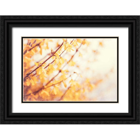 In the Beginning Black Ornate Wood Framed Art Print with Double Matting by Cochrane, Carolyn
