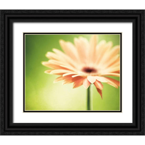 Joyful Black Ornate Wood Framed Art Print with Double Matting by Cochrane, Carolyn