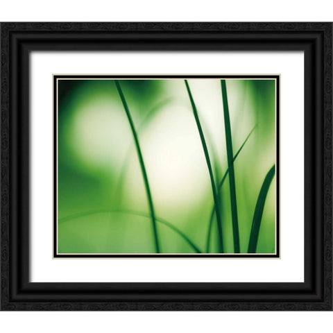 Natural Flow Black Ornate Wood Framed Art Print with Double Matting by Cochrane, Carolyn