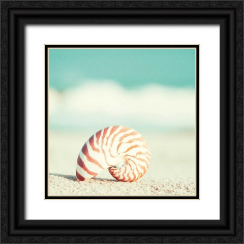 Nautilus Black Ornate Wood Framed Art Print with Double Matting by Cochrane, Carolyn