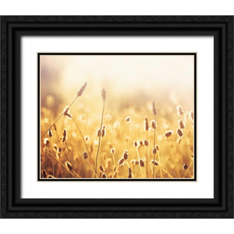 Nothing Gold Can Stay Black Ornate Wood Framed Art Print with Double Matting by Cochrane, Carolyn