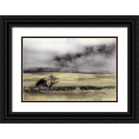 Limantour Marsh Black Ornate Wood Framed Art Print with Double Matting by Culver, Laura