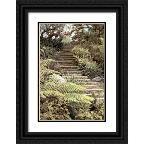 Secret Steps Black Ornate Wood Framed Art Print with Double Matting by Culver, Laura