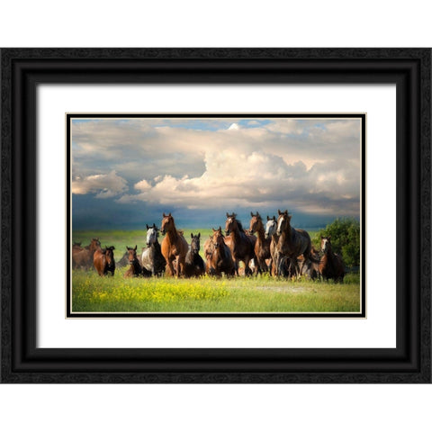 Running Free II Black Ornate Wood Framed Art Print with Double Matting by Dearing, Lisa
