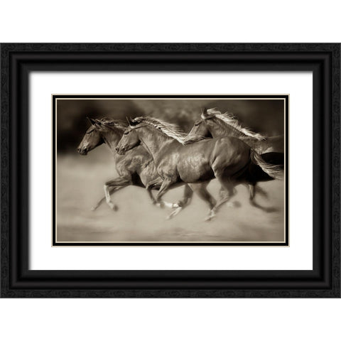 Wind Runners Black Ornate Wood Framed Art Print with Double Matting by Dearing, Lisa
