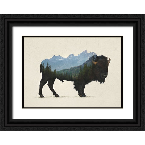 Grand Teton Bison Black Ornate Wood Framed Art Print with Double Matting by Davies Babies