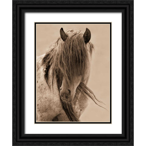 Freedom Black Ornate Wood Framed Art Print with Double Matting by Dearing, Lisa