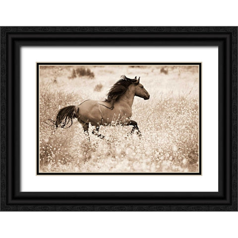Running Free Black Ornate Wood Framed Art Print with Double Matting by Dearing, Lisa
