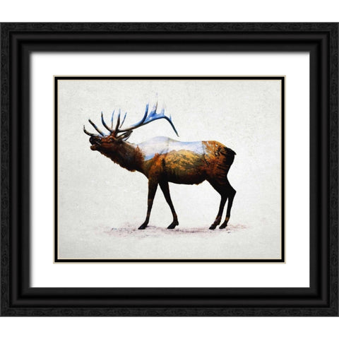 Rocky Mountain Elk Black Ornate Wood Framed Art Print with Double Matting by Davies Babies