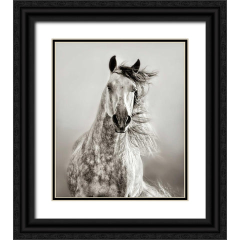 Caballo de Andaluz Black Ornate Wood Framed Art Print with Double Matting by Dearing, Lisa