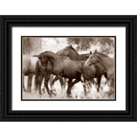 The Herd Black Ornate Wood Framed Art Print with Double Matting by Dearing, Lisa