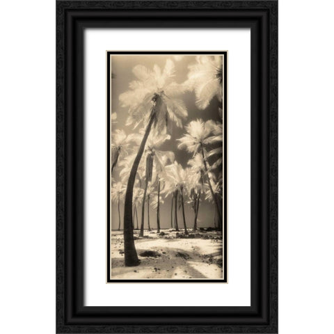 Palm Shadows I Black Ornate Wood Framed Art Print with Double Matting by Friedman, Susan