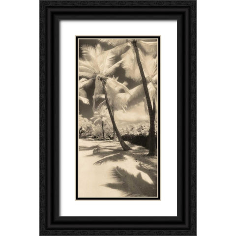 Palm Shadows II Black Ornate Wood Framed Art Print with Double Matting by Friedman, Susan