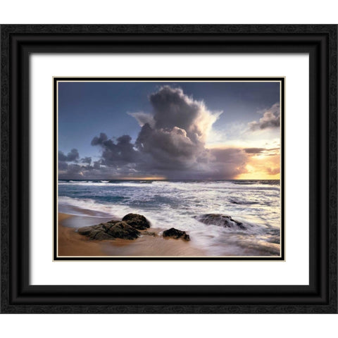 Forces of Nature Black Ornate Wood Framed Art Print with Double Matting by Foster, Christopher