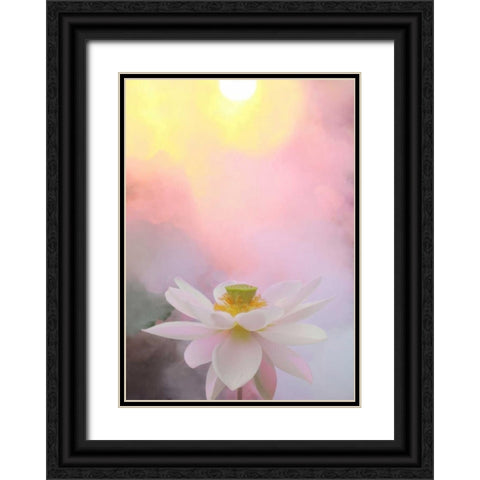 Beauty at Dawn Black Ornate Wood Framed Art Print with Double Matting by Farzad, Bahman