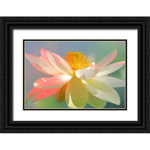 Dancing Queen Black Ornate Wood Framed Art Print with Double Matting by Farzad, Bahman
