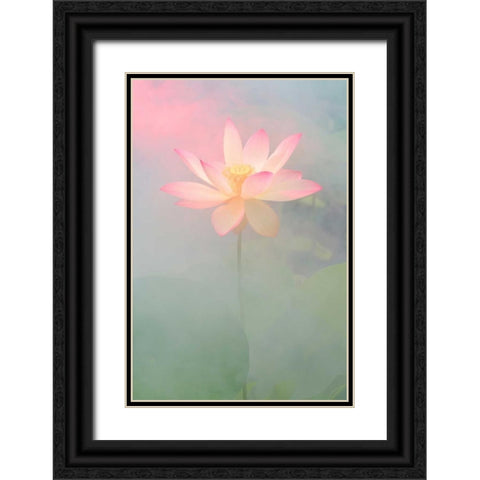 Pink Passion Black Ornate Wood Framed Art Print with Double Matting by Farzad, Bahman