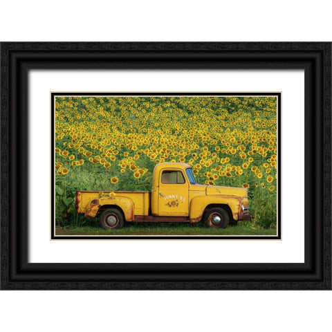 Yellow Vintage Sunflower Truck Black Ornate Wood Framed Art Print with Double Matting by Grippo-Pike, Carrie Ann