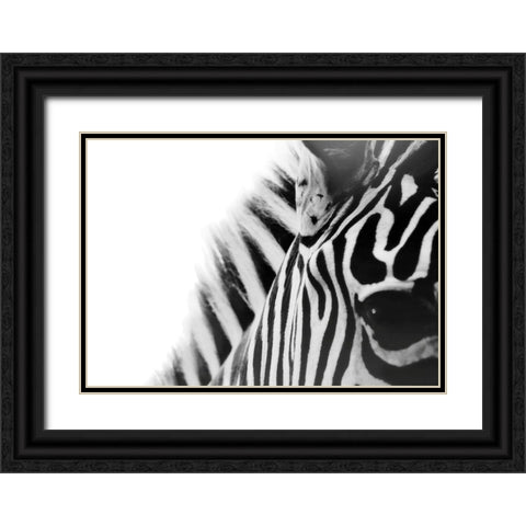 Zebra Eye Black Ornate Wood Framed Art Print with Double Matting by Grippo-Pike, Carrie Ann