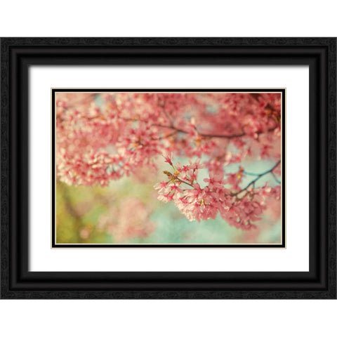 Cheery Cherry Blossoms Black Ornate Wood Framed Art Print with Double Matting by Grippo-Pike, Carrie Ann