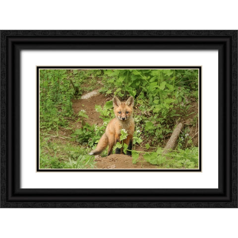 Fox and Flower Black Ornate Wood Framed Art Print with Double Matting by Grippo-Pike, Carrie Ann