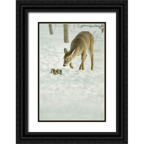 Winter Squirrel and Deer Black Ornate Wood Framed Art Print with Double Matting by Grippo-Pike, Carrie Ann