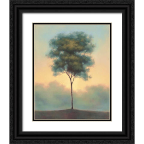 Solitude I Black Ornate Wood Framed Art Print with Double Matting by Gams, Darlou