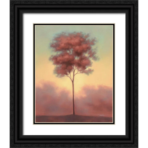 Solitude II Black Ornate Wood Framed Art Print with Double Matting by Gams, Darlou