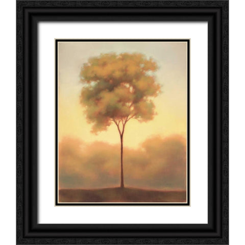 Solitude III Black Ornate Wood Framed Art Print with Double Matting by Gams, Darlou