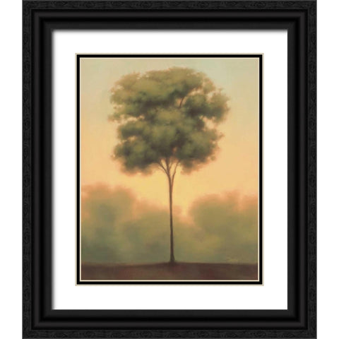 Solitude IV Black Ornate Wood Framed Art Print with Double Matting by Gams, Darlou